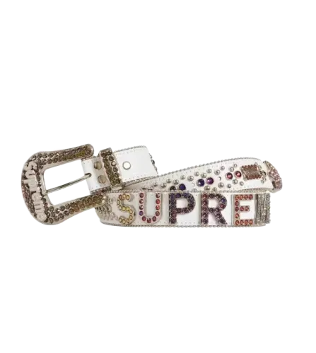 Supreme x bb simon belt thumbnail 3
