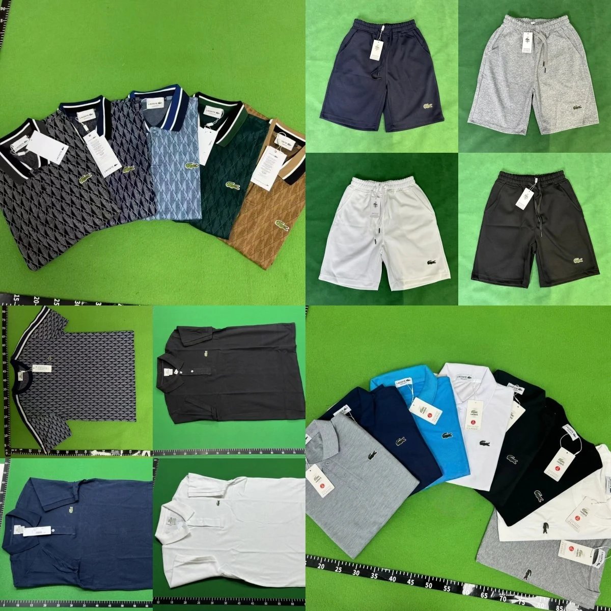 Crocodile Polo & Shorts Set